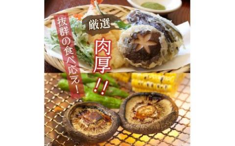 肉厚干し椎茸と本当においしい椎茸佃煮の詰合せ_1165R