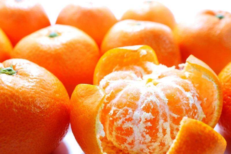 【先行予約・年内配送】令和7年12月中出荷/荒木一番みかん約5kg _1271R-1