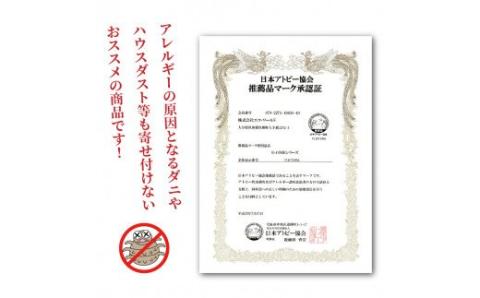 クロッツエア ポータブルマットレス（専用バック付き）/ネイビー_1355R-1