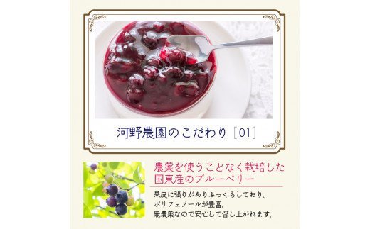 河野農園の無添加ブルーベリーソース150g×5本 