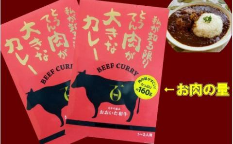 おおいた和牛の贅沢カレー 2パック＿1725R