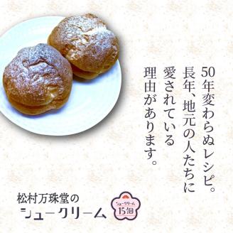 50年変わらない味！地元で人気のシュークリーム15個_1756R