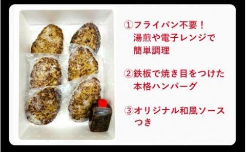おおいた和牛と大分県産の豚を使った大分プレミアムハンバーグ6個入り（計960ｇ）_1820R