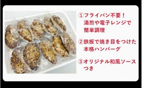 おおいた和牛と大分県産を使った大分プレミアムハンバーグたっぷり1.6kg！（160g×10個）_1821R