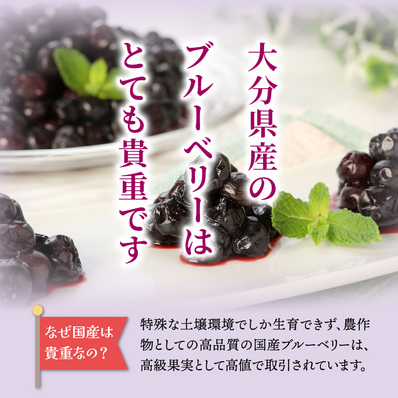 【ご家庭用】冷凍ブルーベリー2.5kg（大分県産）_1894R