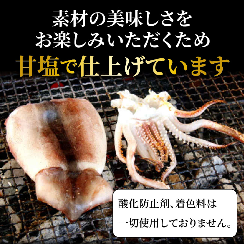 サイズは不揃いでも味は絶品!肉厚するめ烏賊一夜干し2.4㎏_1904R