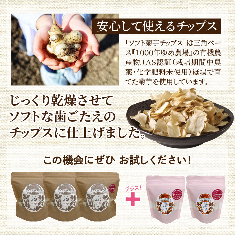 【今だけ増量】そのままでもよし、料理にもよし！ソフト菊芋チップス300g+40g_1935R