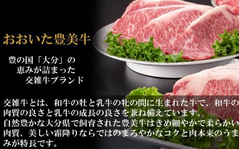 おおいた豊美牛ローススライス 300g_2261R