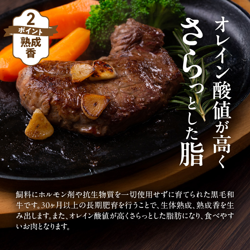 【黒毛和牛】 おおいた和牛 半生 ビーフジャーキー 400g (40g×10P) レア つまみ 酒の肴_2392R-2