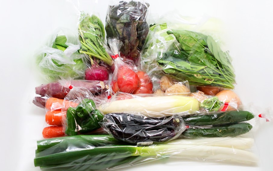 7月からお届け!おおいたの旬野菜定期便/計3回発送_2395R