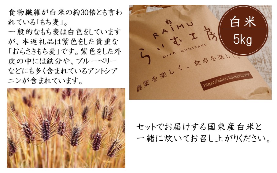 らいむ工房のむらさきもち麦500gと白米5kg_2506R
