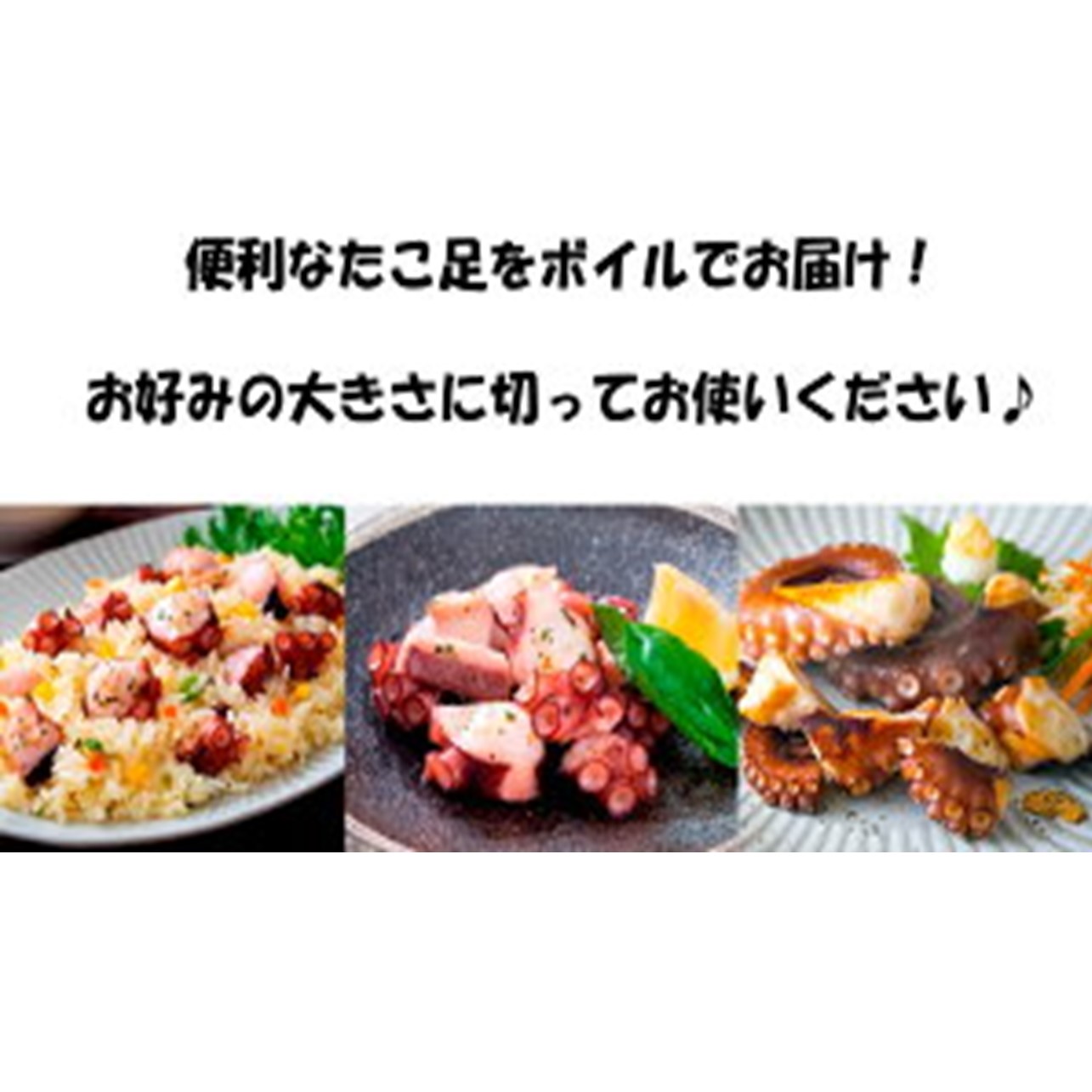 サイズは不揃いでも味は絶品！国東産ボイルたこ足約1kg_2561R