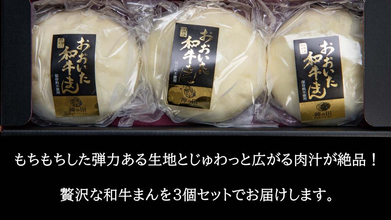 職人手作りの「贅沢おおいた和牛まん」_2562R