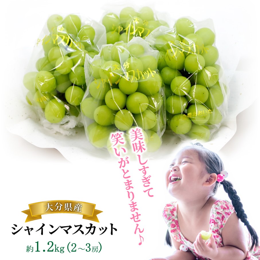 【先行予約】【令和8年発送】おおいたの豊潤シャインマスカット約1.2㎏_2609Ｒ