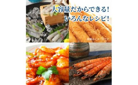 鮮度抜群！活き〆冷凍車海老（1.17kg）_29004C