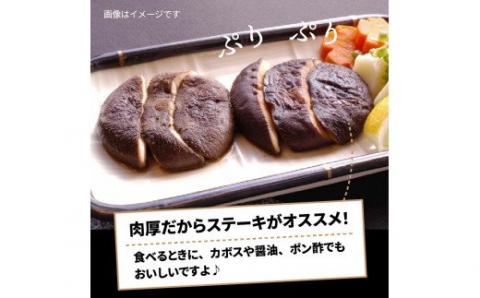 国東しいたけ「香ちゃん（極上品300g）」※桐箱入り・通_29030B