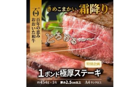 【ご好評につき1～2ヶ月待ち】【A4～A5等級】まさに〃肉のエアーズロック〃おおいた和牛１ポンド極厚ステーキ・通_29365A