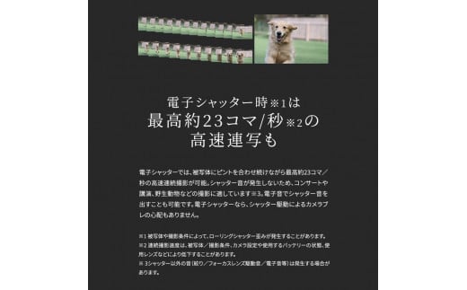 【Canon】 キヤノン ミラーレス カメラ EOS R10 ボディー キャノン 一眼 家電_0023C