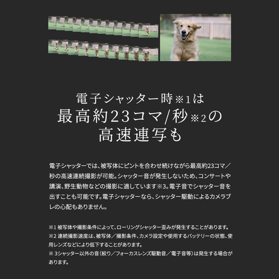 【Canon】 キヤノン ミラーレス カメラ EOS R10 レンズキット 18-45ｍｍ キャノン 一眼 家電_0024C