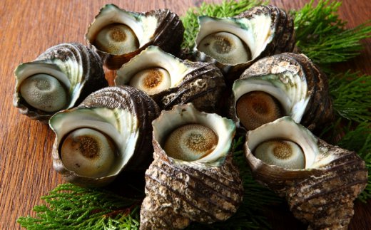 漁師直送!天然活さざえ1.3kg_1067R