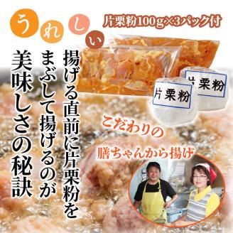 膳ちゃん唐揚げ1.65kg+鶏皮揚げ0.2kg_1100R