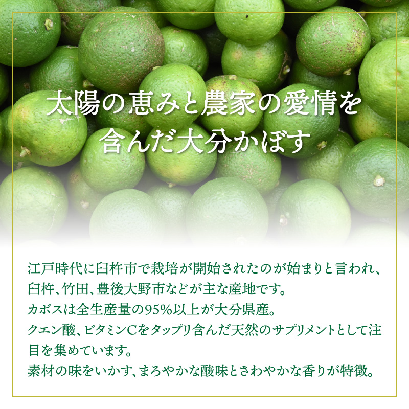 爽快!!かぼすのサイダー/495ml×24本