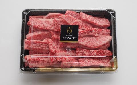 おおいた和牛と米の恵み豚のスタミナ焼肉対決/計1kg＿1216R