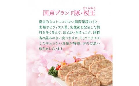 豊後牛と桜王豚のＷハンバーグ2kgセット_1485R