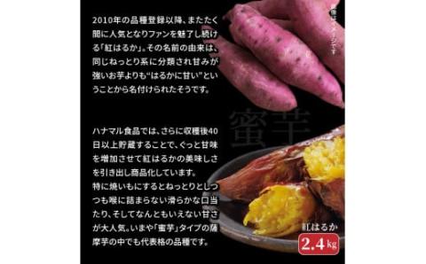 長期熟成！極甘しっとり焼いも/紅はるか2.4kg_1783R
