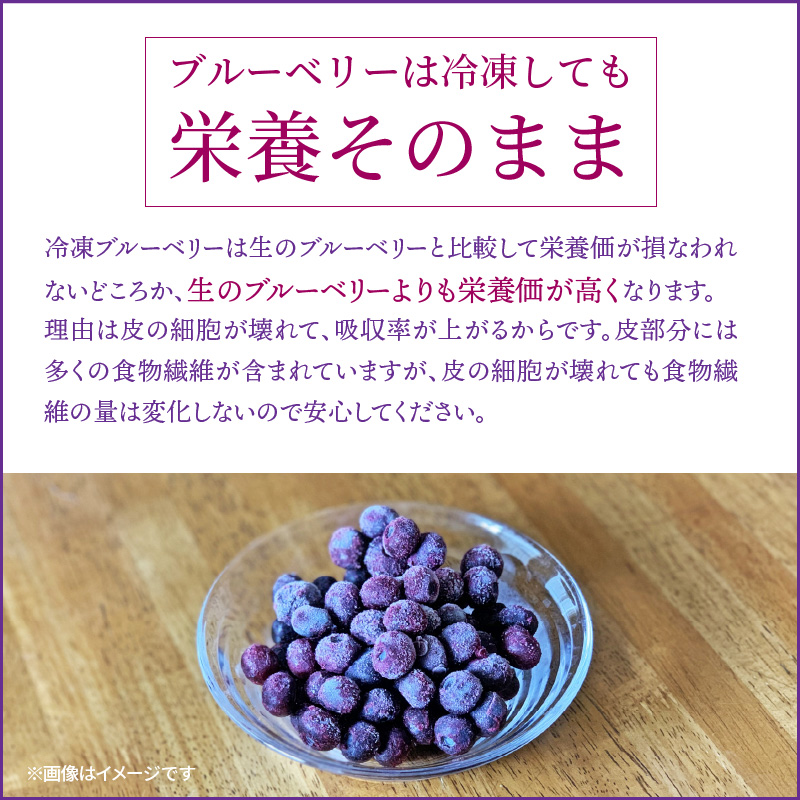 【ご家庭用】冷凍ブルーベリー2.5kg（大分県産）_1894R