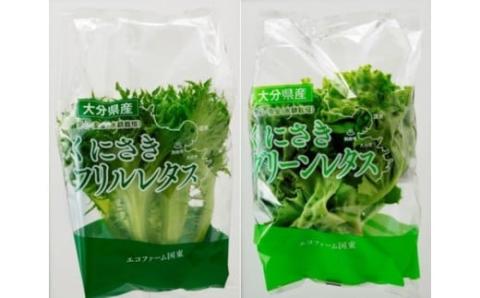 毎月お届け！くにさき太陽のレタス定期便/計3回発送_2122R