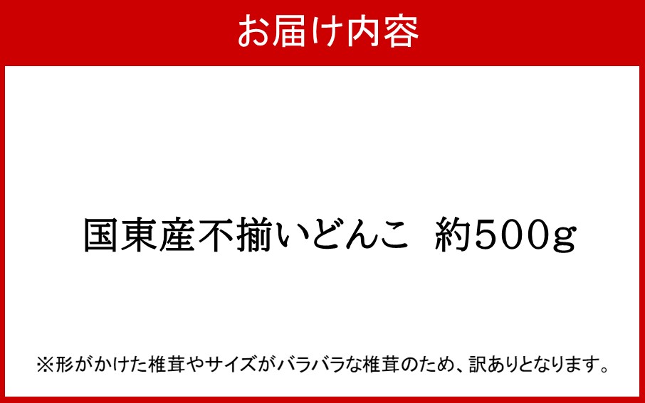 【訳あり】国東産不揃いしいたけ約500g（どんこ）_2634R-2