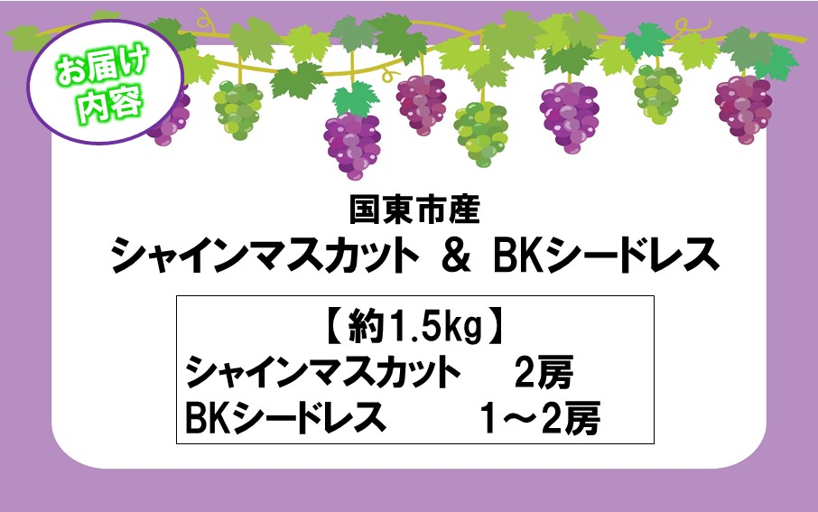 テレビで紹介されました！【先行予約】【令和8年発送】農家直送！ 新鮮！ 朝づみぶどう シャインマスカット & BKシードレス 種なし 約1.5kg フルーツ 果物 贈答 大分県産 採れたて_2658R-2