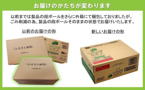 つぶらなカボス（30本）・通_29004A