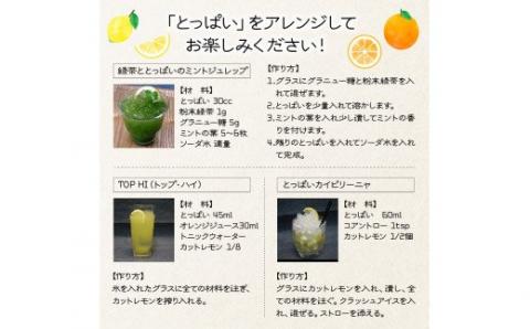 本格麦焼酎「とっぱい」(25度)の大盤振る舞い！・通_29006C