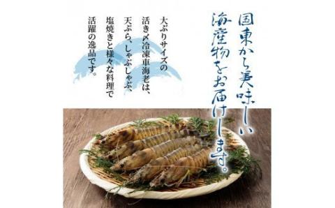鮮度抜群！活き〆冷凍車海老（360g）_29100A