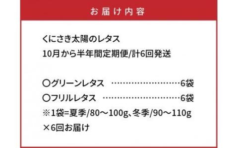 くにさき太陽のレタス10月から半年間定期便/計6回発送_1598R