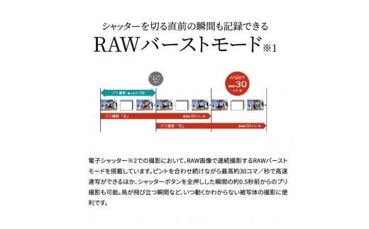 【Canon】 キヤノン ミラーレス カメラ EOS R10 ボディー キャノン 一眼 家電_0023C