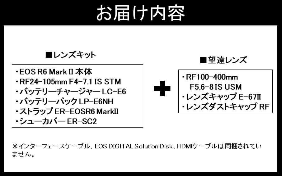 【追加レンズセット】 キヤノン ミラーレス カメラ EOS R6 MarkⅡ レンズキット & 望遠レンズ キャノン 一眼 家電 _0055C
