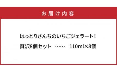 はっとりさんちのいちごジェラート！贅沢8個セット_0241N