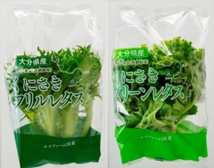 採れたてシャキシャキ!!くにさき太陽のレタス12袋詰合せ_1183R