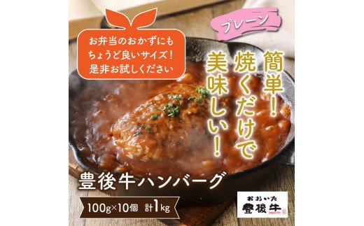 豊後牛ハンバーグ「プレーン」1kg_1201R