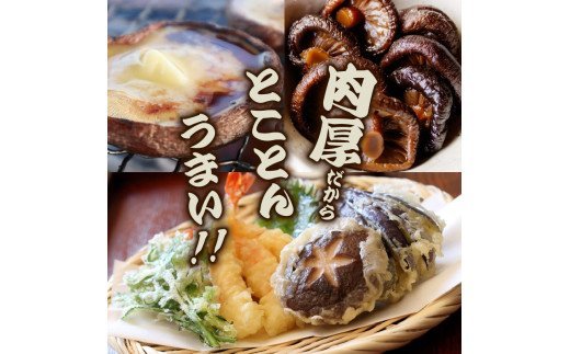 お好きな分だけ取出せる肉厚どんこ1缶+詰め替え用1袋/計360g 