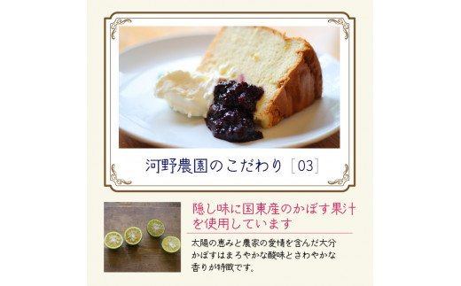 河野農園の無添加ブルーベリーソース150g×5本 