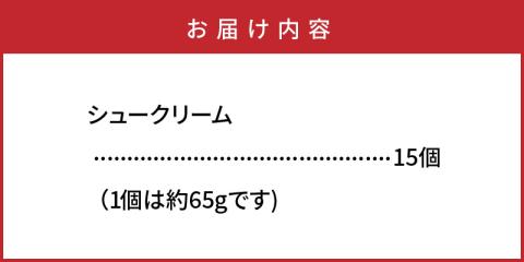 50年変わらない味！地元で人気のシュークリーム15個_1756R
