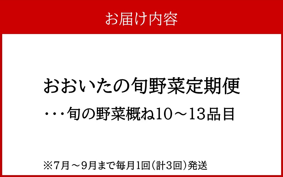 7月からお届け!おおいたの旬野菜定期便/計3回発送_2395R