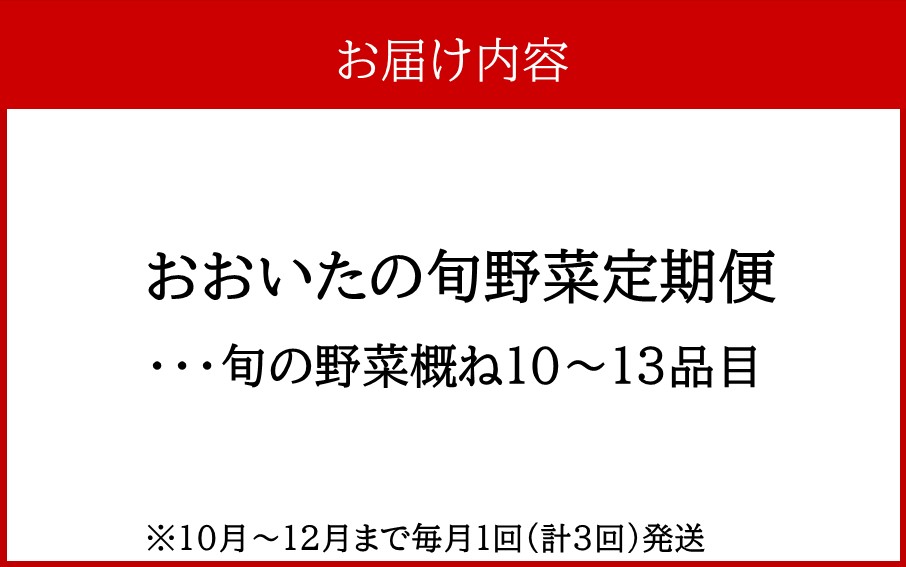 10月からお届け!おおいたの旬野菜定期便/計3回発送_2396R