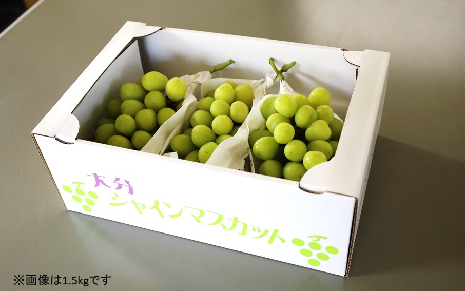 旬の果物〜青果市場直送 テレビで紹介されました！【先行予約】【令和8年発送】農家直送！ 新鮮