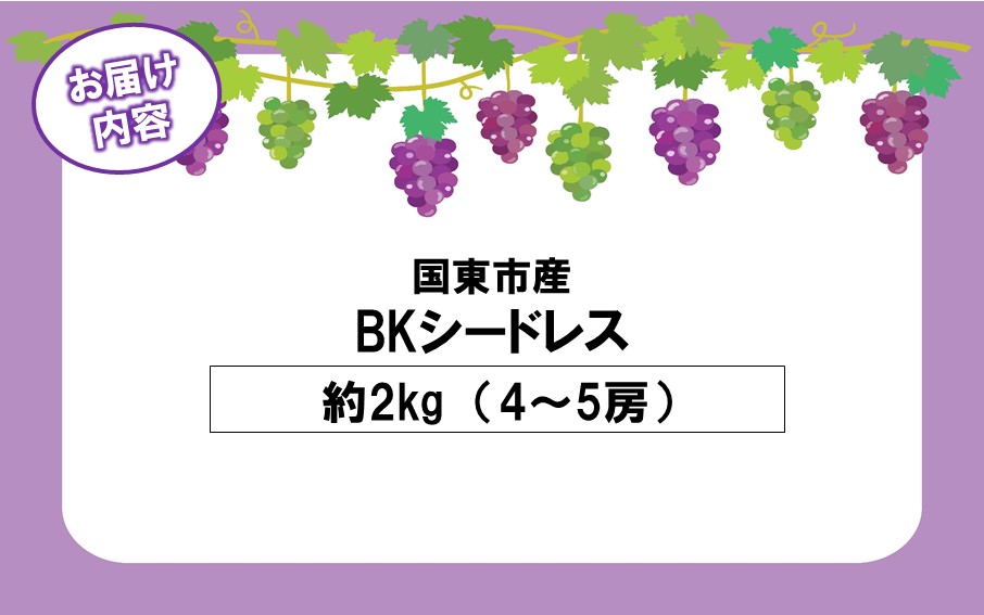 テレビで紹介されました！【先行予約】【令和8年発送】農家直送！ 新鮮！ 朝づみぶどう BKシードレス 種なし 約2kg フルーツ 果物 贈答 大分県産 採れたて_2657R-3