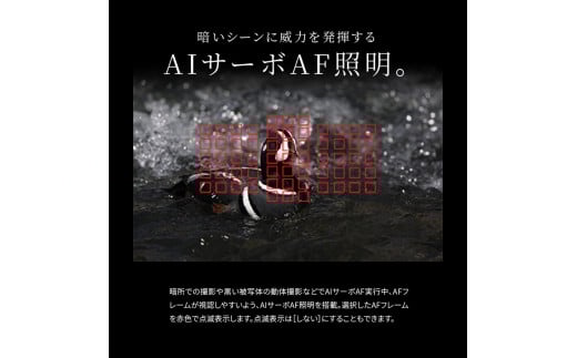 【Canon】 キヤノン 一眼レフ カメラ EOS 5D MarkIV WG ボディ キャノン 家電 _0009C